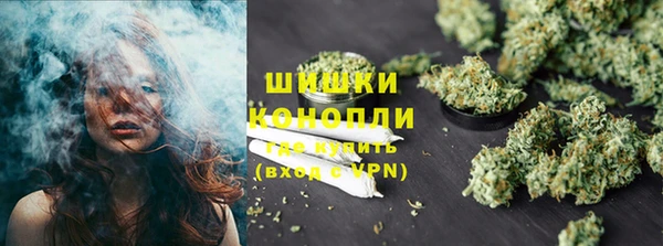 гидра Гусь-Хрустальный