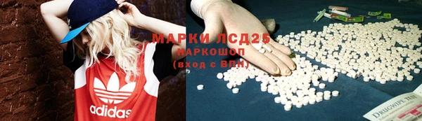 СК Гусиноозёрск