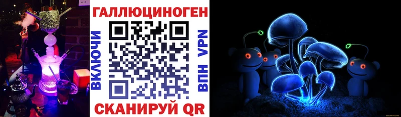 магазин    Донецк  Галлюциногенные грибы GOLDEN TEACHER 